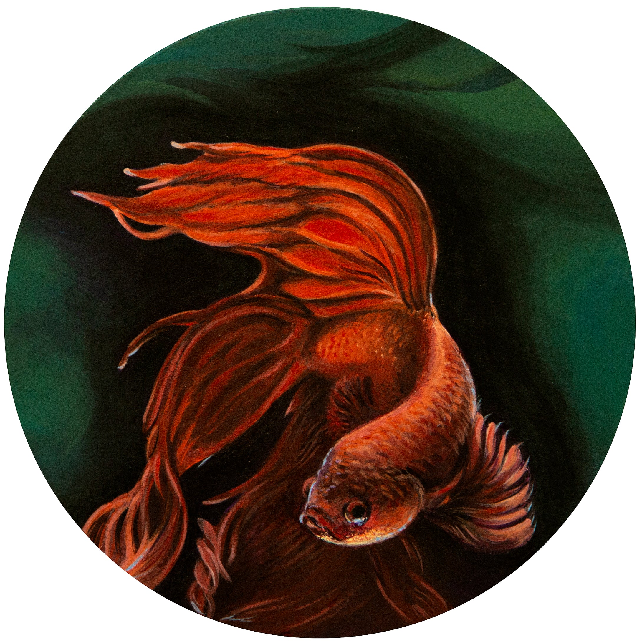 Timmy Mays: Betta Painting