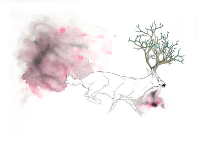 The Ground Upon Which We Stand: Melanie Cates-Forest fire