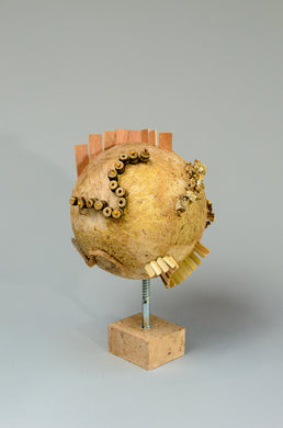 The Ground Upon Which We Stand: Phyllis Thelen-Planet Earth Screwed: Walled