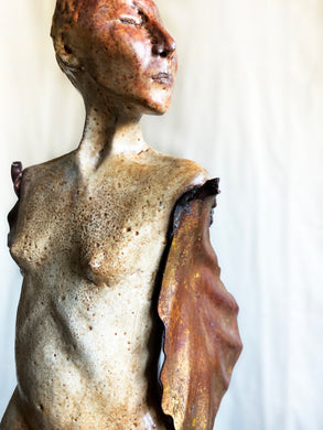 Terrestrial Bodies: Rooted with Wings