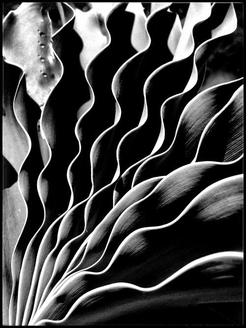 Becky Jaffe: For Imogen