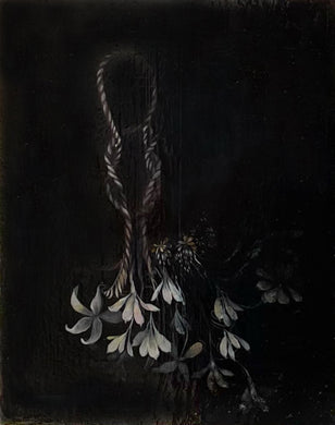 Bio-Morphic - Tarra Lyons - Lover’s Knot