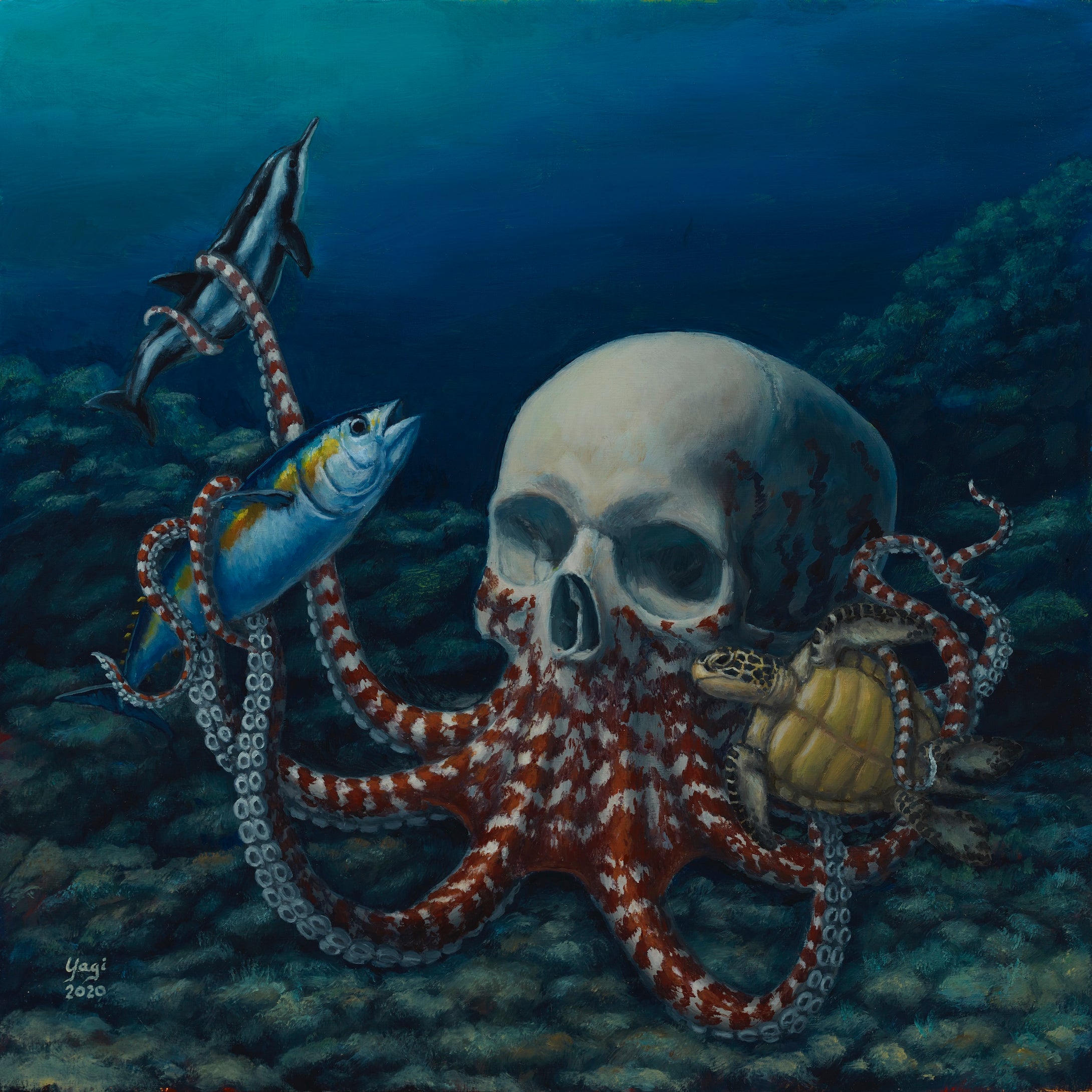 Shimmer: Sandra Yagi: Octoskull #2