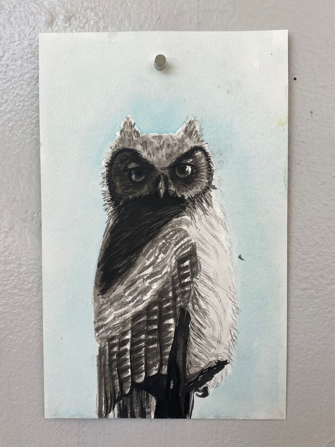 FLY: Leah Yael Levy: Baby Owl