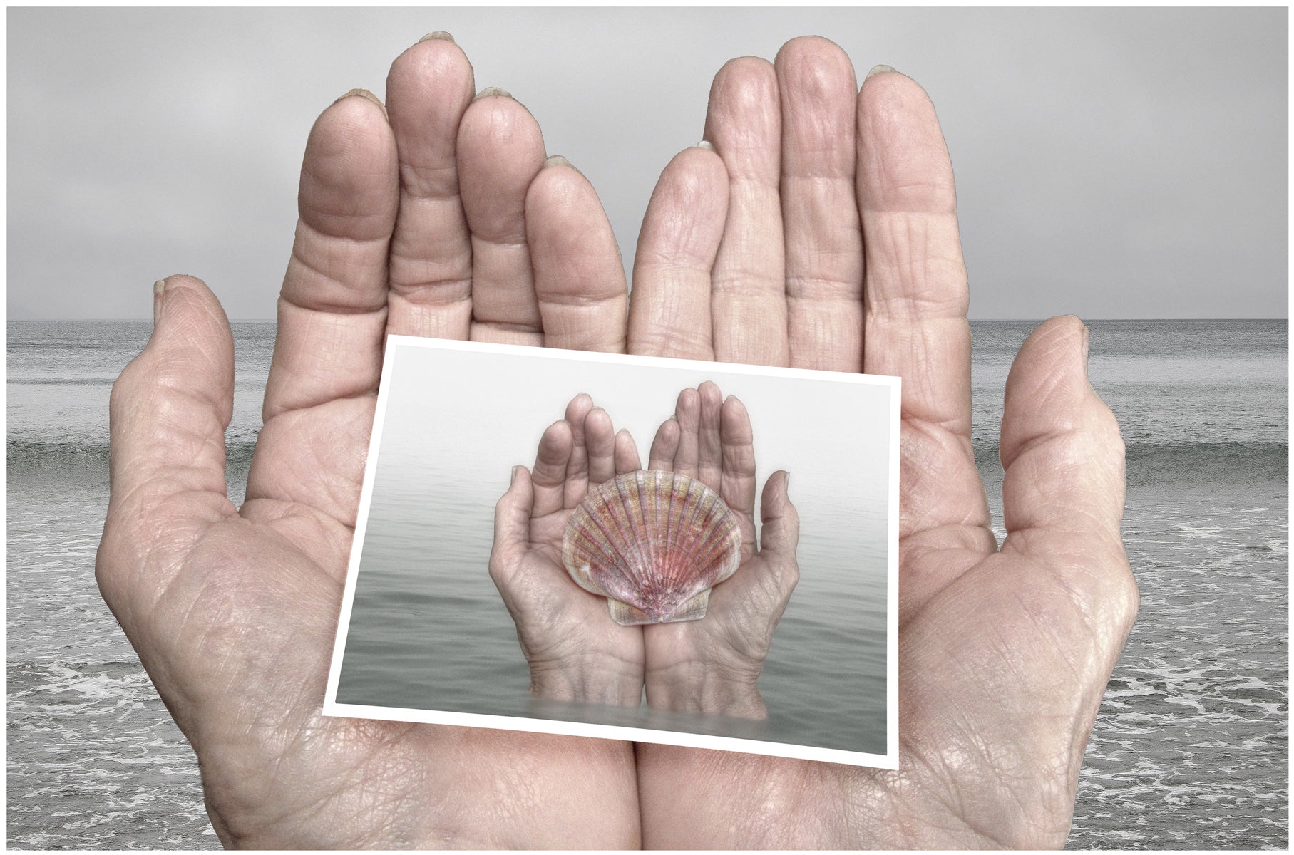 Transitions: Steve Napoli: Ocean Memory
