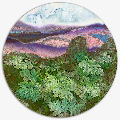 Habitats - Elizabeth Addison - Grounded, Hills series, 2024