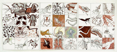 Hope & Healing: Pamela Blotner: 36 Ways of Looking At A Cricket