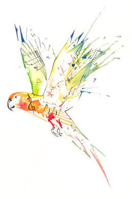 Above the Noise: Nicholas Kanozik: Conure Op.43 MVT I