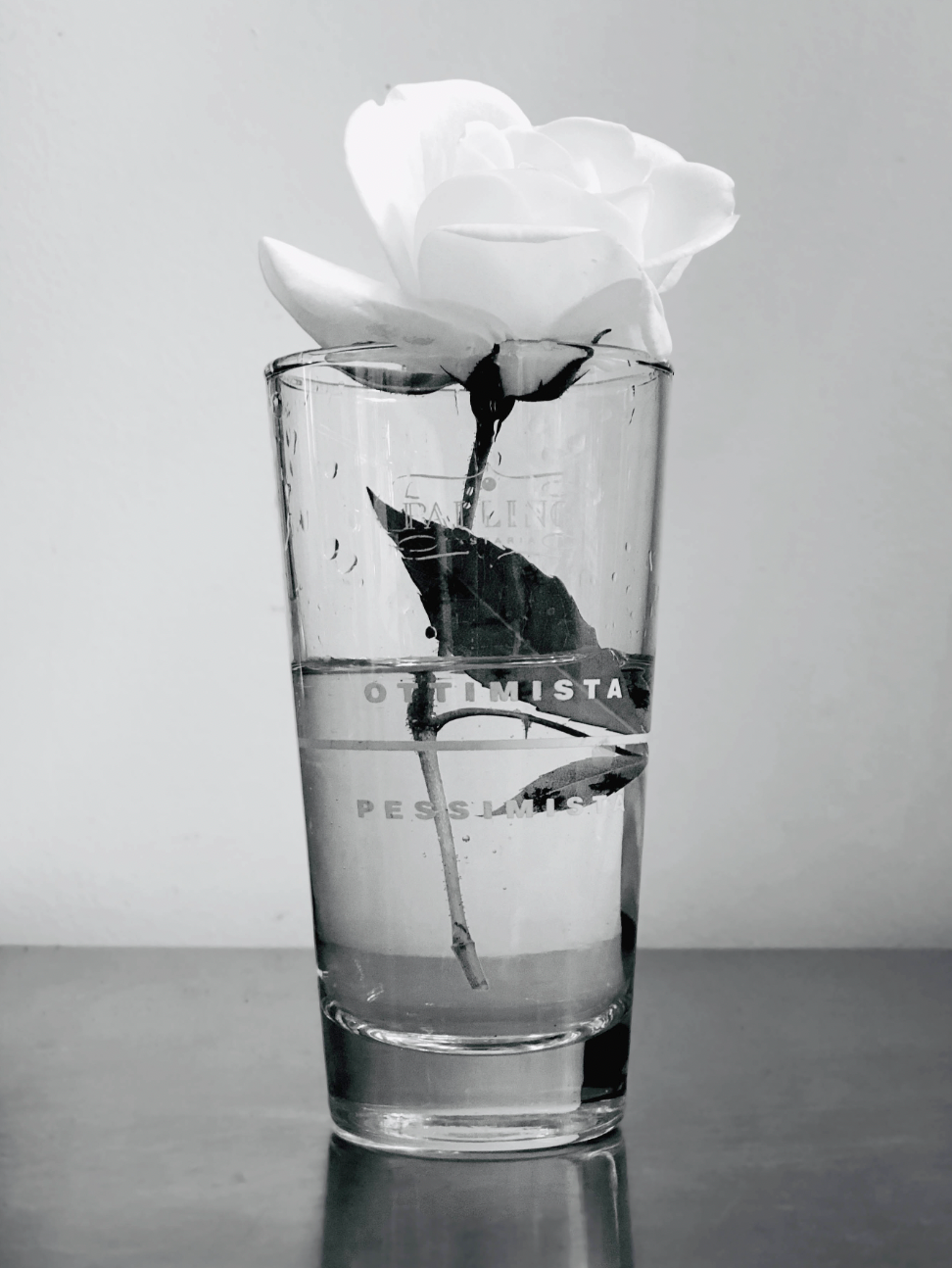 On Rose | Kirsten Lara Getchell | ottimista pessimista