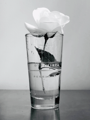 On Rose | Kirsten Lara Getchell | ottimista pessimista
