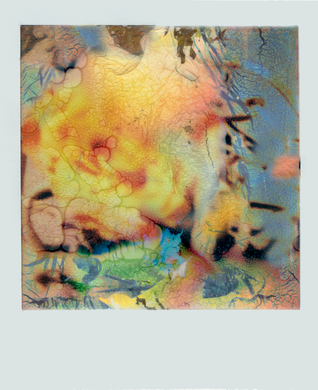 On Rose | Maria Budner | A Rose By Any Other Name
