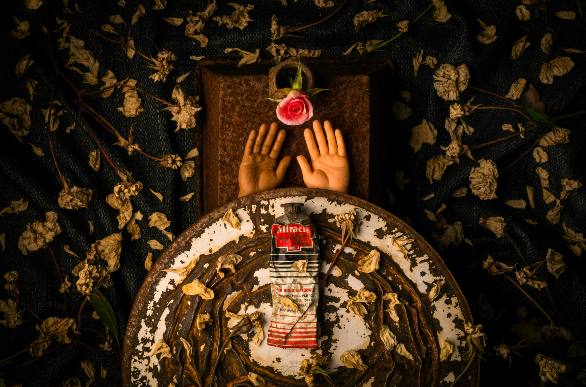 On Rose | John Peter De Groot | Another Try at Harmony  Before the Miracle Runs Out