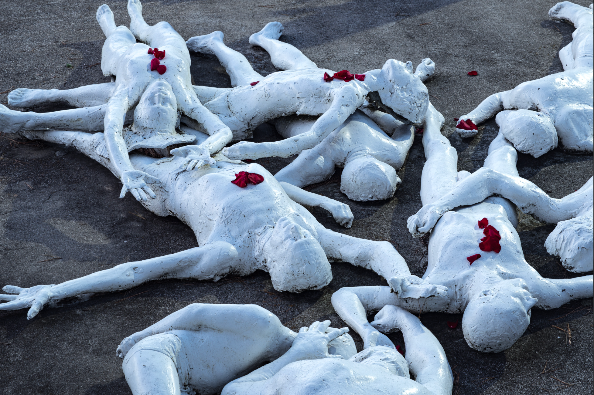 On Rose | Barbara Schramm |  Our Hearts Bleed