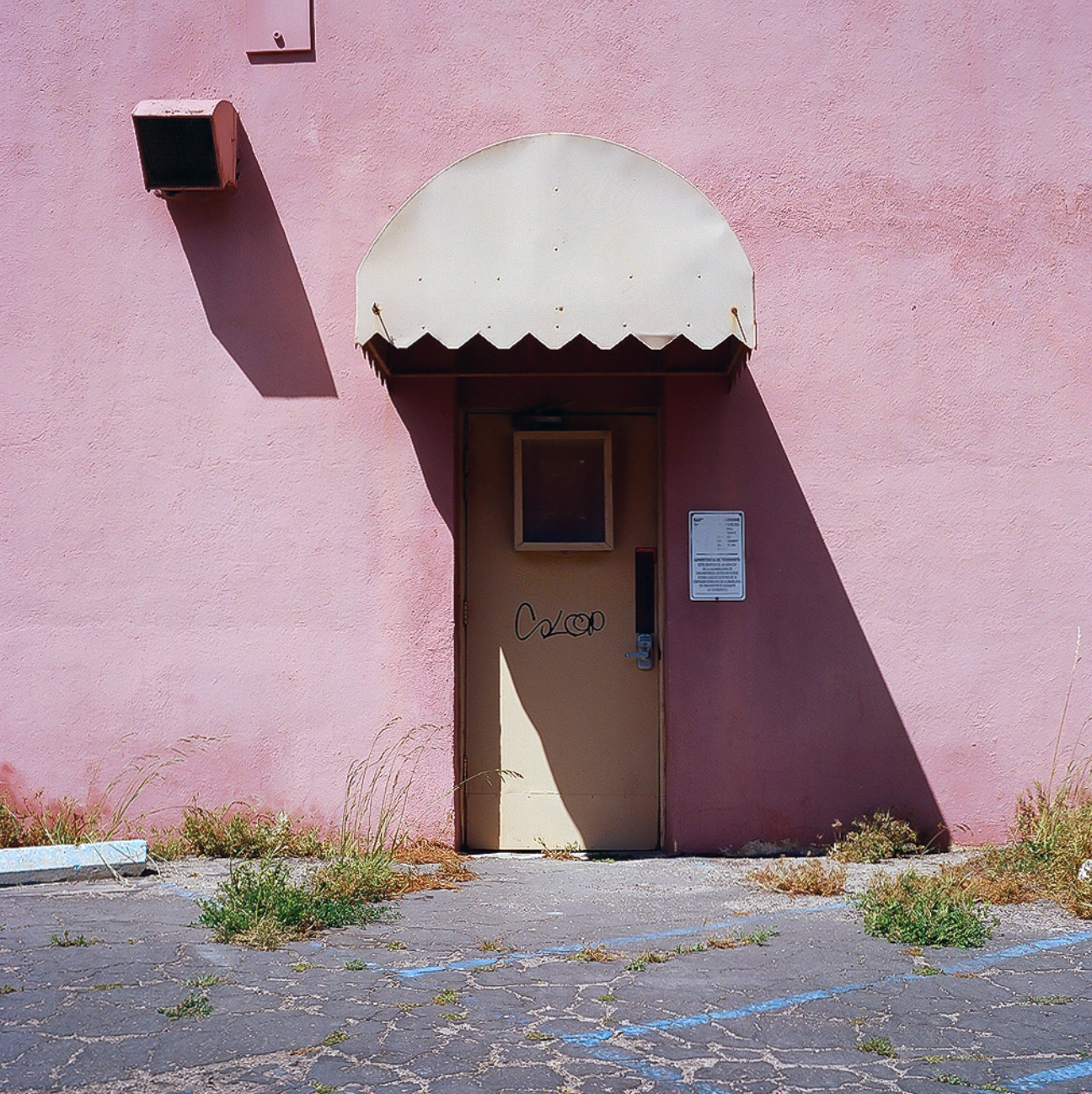 On Rose | Claire Maen | Pink Door
