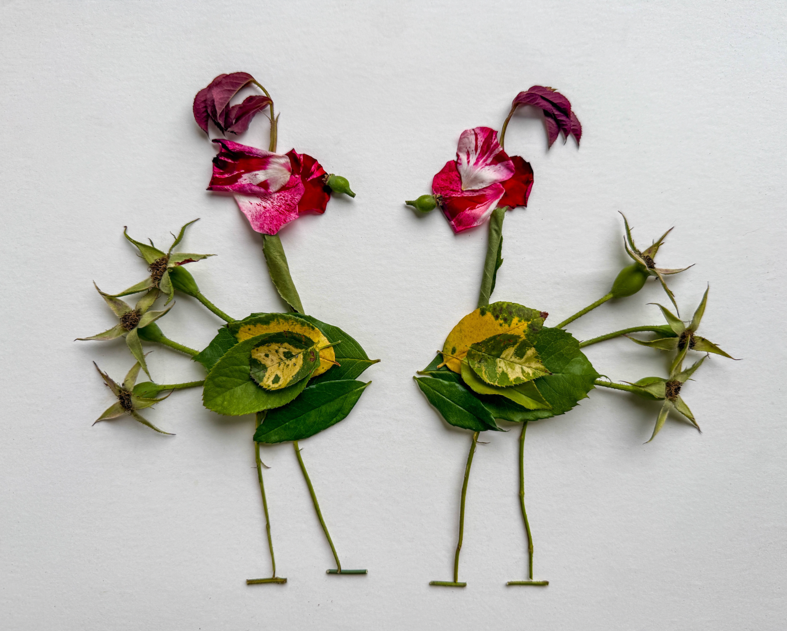On Rose | Emmy Randol | Two Old Birds