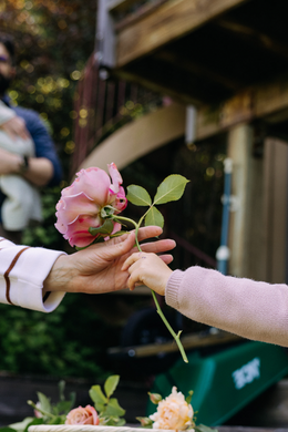 On Rose | Laura Jaeger | What We Pass On