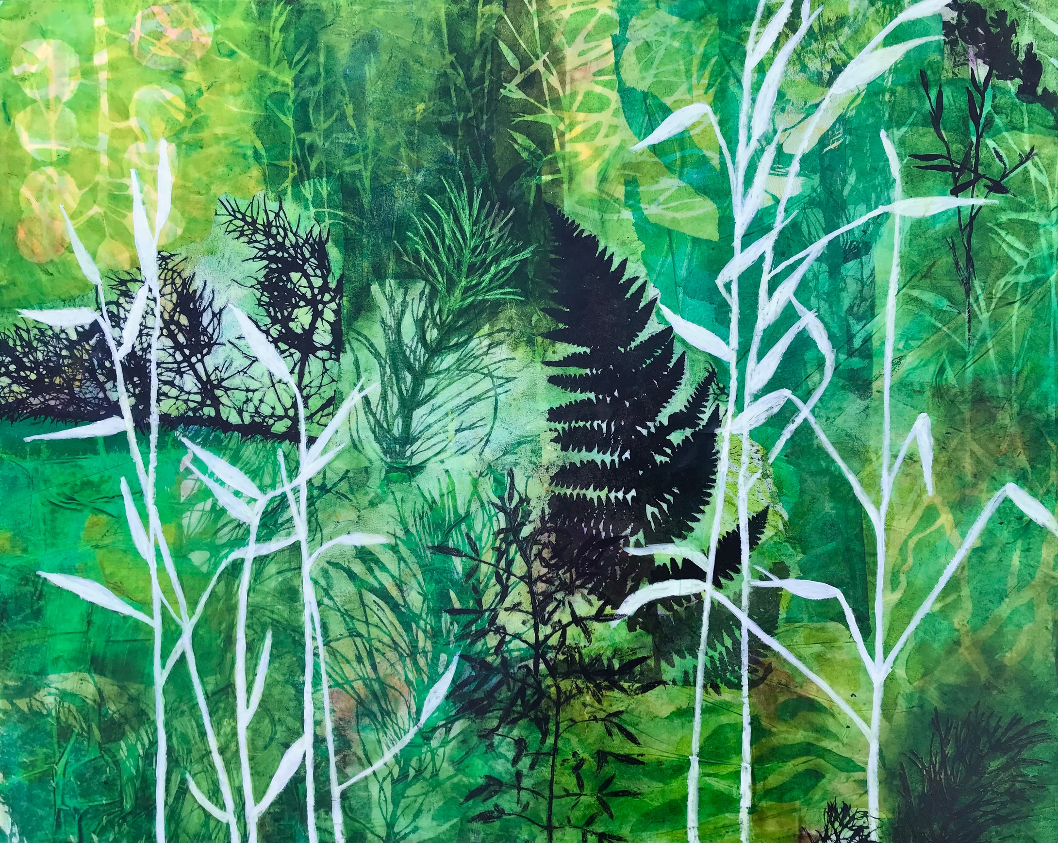 Lucy Ames | Trailside Splendor | Green Is My Favorite Color