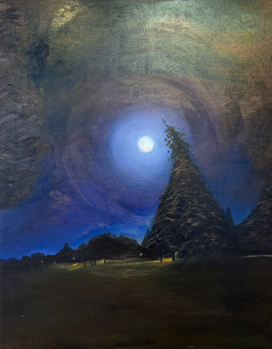 Luminosity : David W. McCauley, Jr. | One Night by the Salish Sea