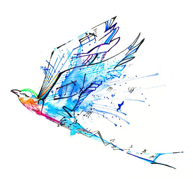Above the Noise: Nicholas Kanozik: Lilac Breasted Roller