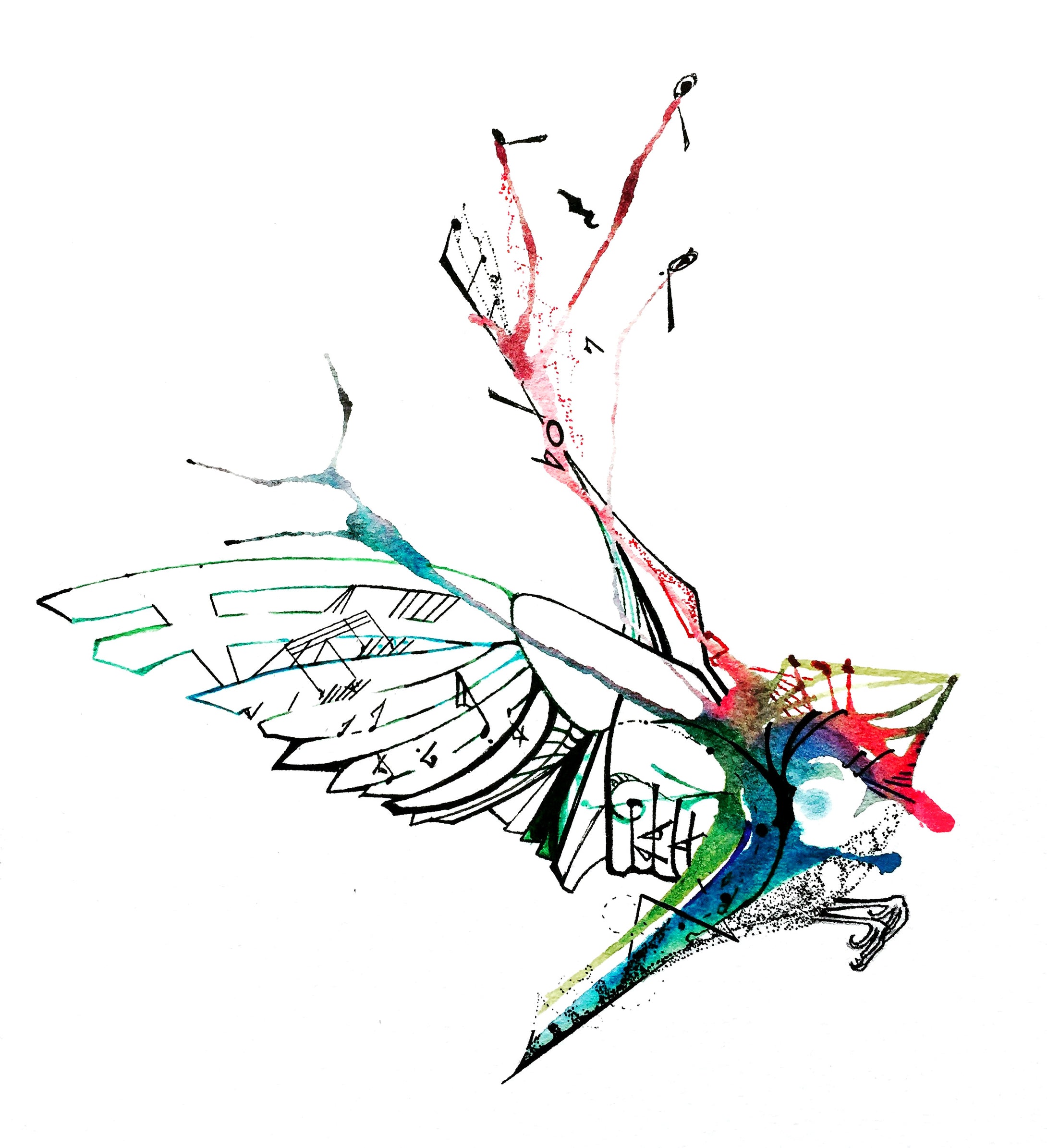 Above the Noise: Nicholas Kanozik: Finch