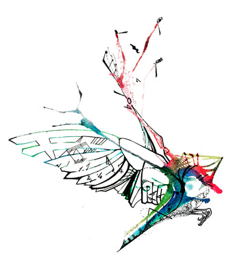 Above the Noise: Nicholas Kanozik: Finch