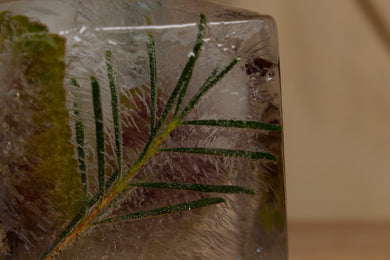 2026 Albany High School : Frozen in Time Madison Jones 10 x 6.5, photograph $20