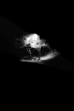 2026 Albany High School : Walk in the Park Timothy Kim 19 x 12.5, photograph $35