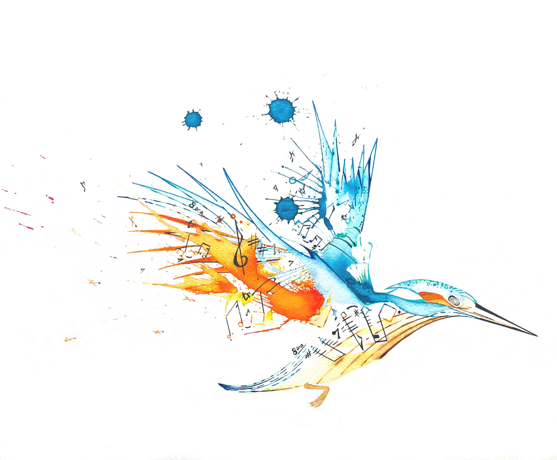 Above the Noise: Nicholas Kanozik: Kingfisher's Call