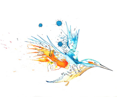 Above the Noise: Nicholas Kanozik: Kingfisher's Call