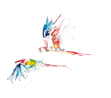 Above the Noise: Nicholas Kanozik: Macaw Dance MVT I Op.42