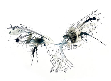 Above the Noise: Nicholas Kanozik: Barn Owl