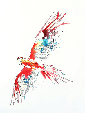 Above the Noise: Nicholas Kanozik: Macaw MVT II Op.42