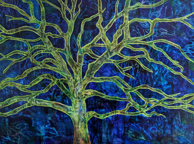 Lucy Ames | Trailside Splendor | The Stories I Could Tell