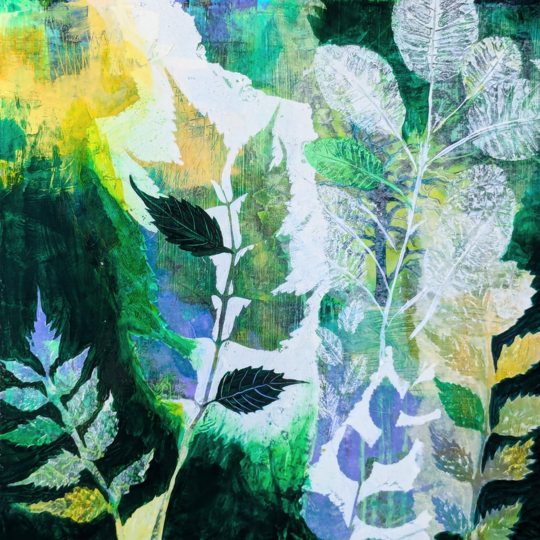 Lucy Ames | Trailside Splendor |  Leaf Dance