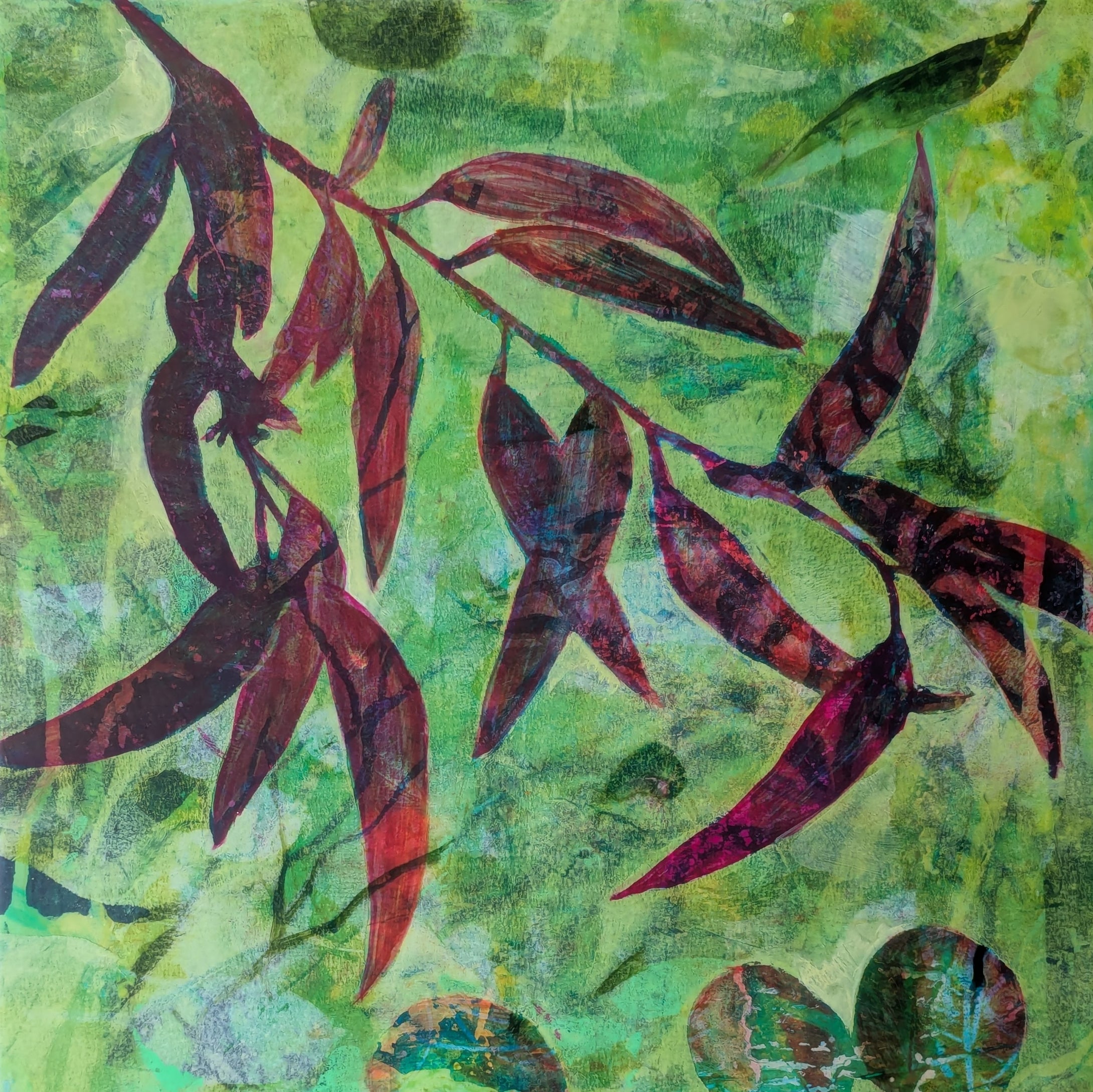 Lucy Ames | Trailside Splendor | Eucalyptus Dreaming