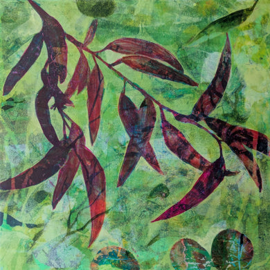 Lucy Ames | Trailside Splendor | Eucalyptus Dreaming
