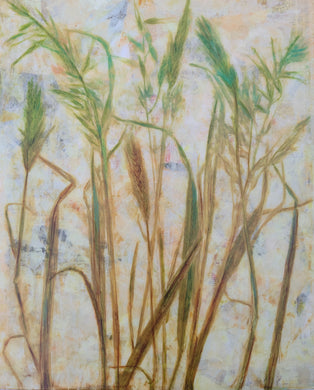 Lucy Ames | Trailside Splendor |  Only Here for a Minute