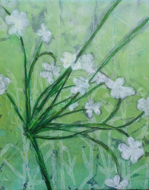 Lucy Ames | Trailside Splendor | Growing in More than One Direction