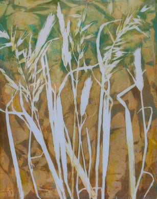 Lucy Ames | Trailside Splendor |  More Than Meets the Eye