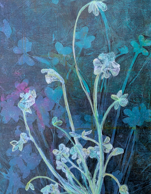 Lucy Ames | Trailside Splendor | Love in the Shadows