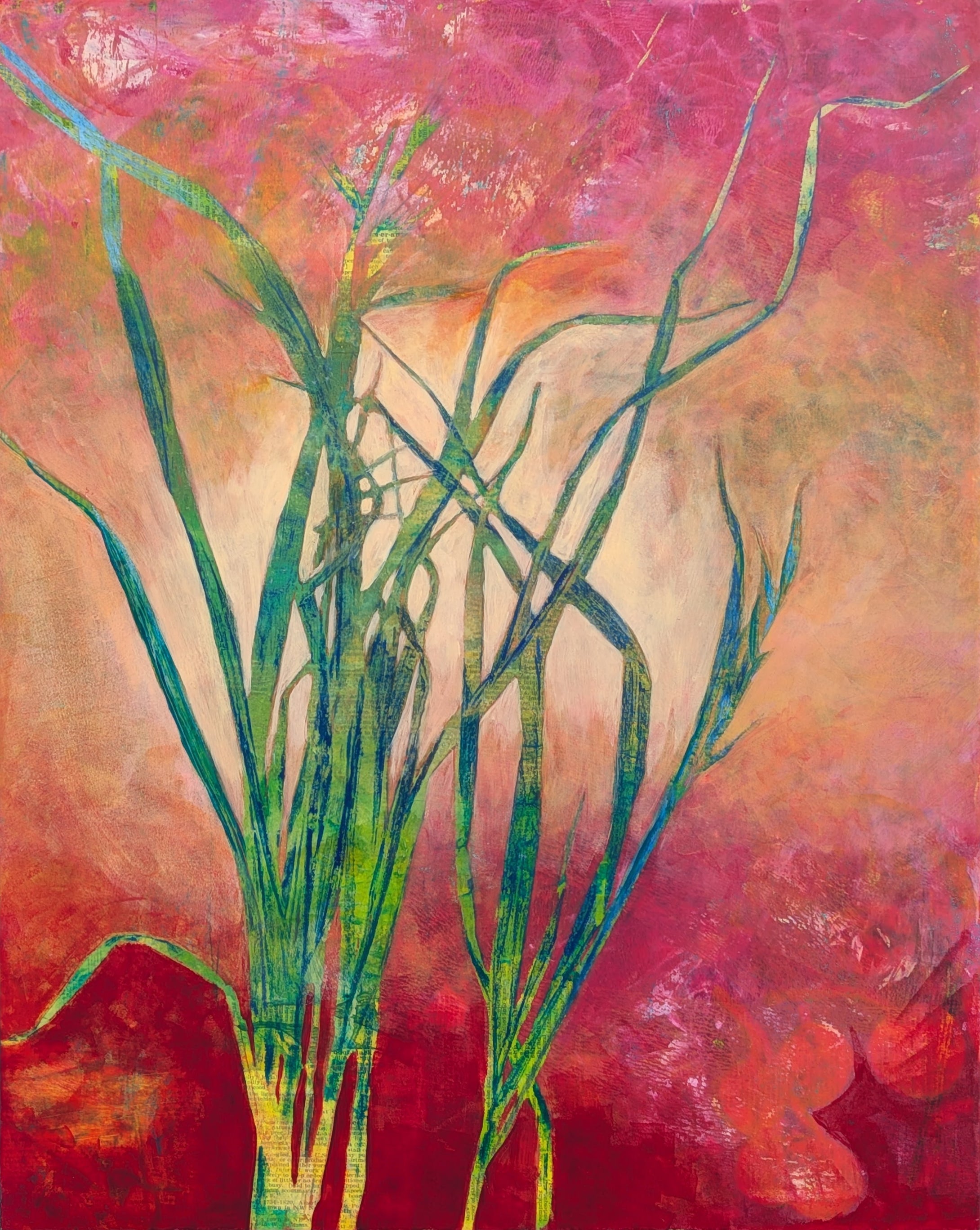 Lucy Ames | Trailside Splendor |  Boomerang
