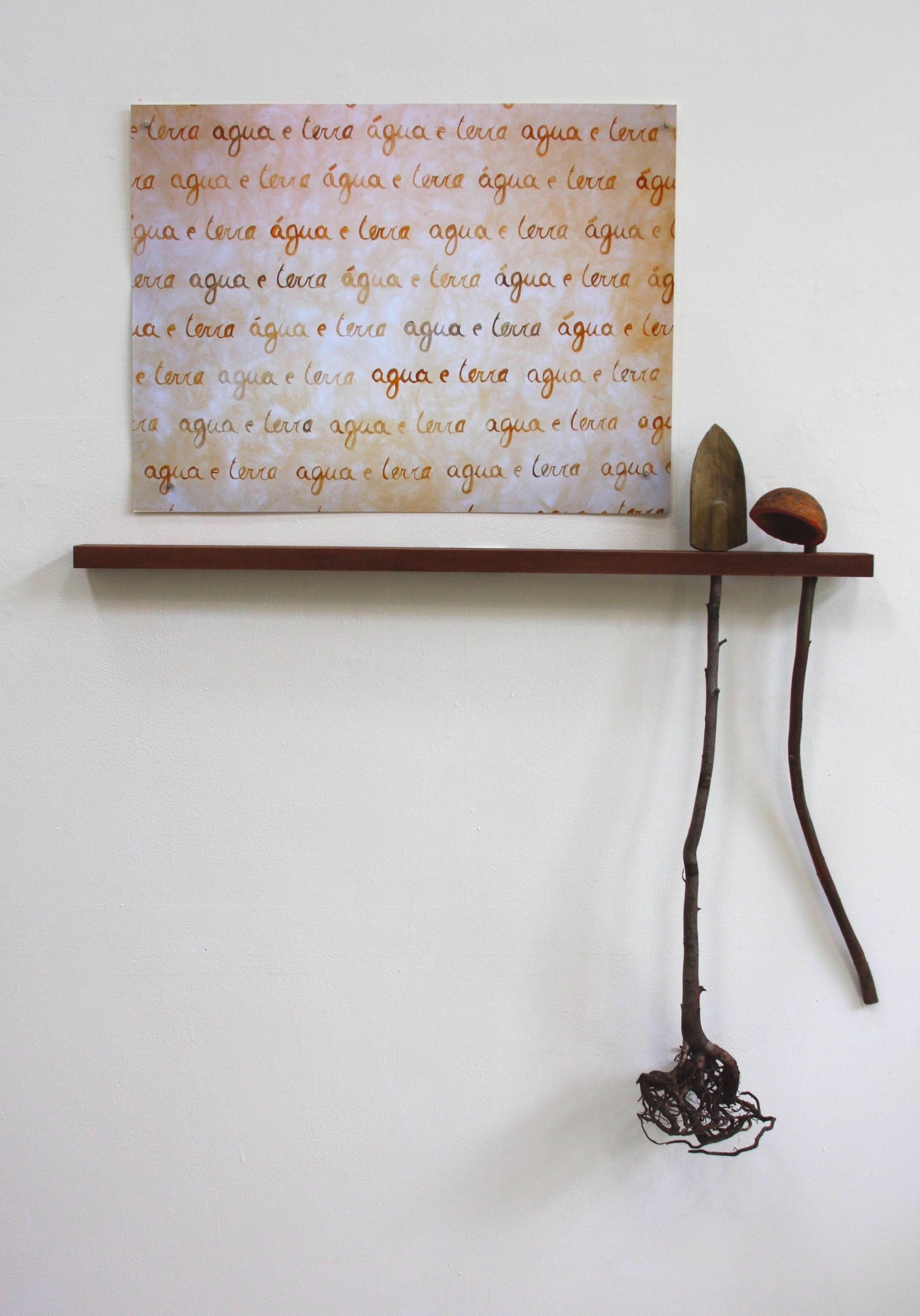 Hope & Healing: Pamela Blotner: Re-Genesis