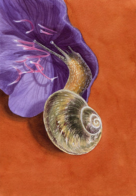 Jennifer Mazzucco - Snail with Purple Flower