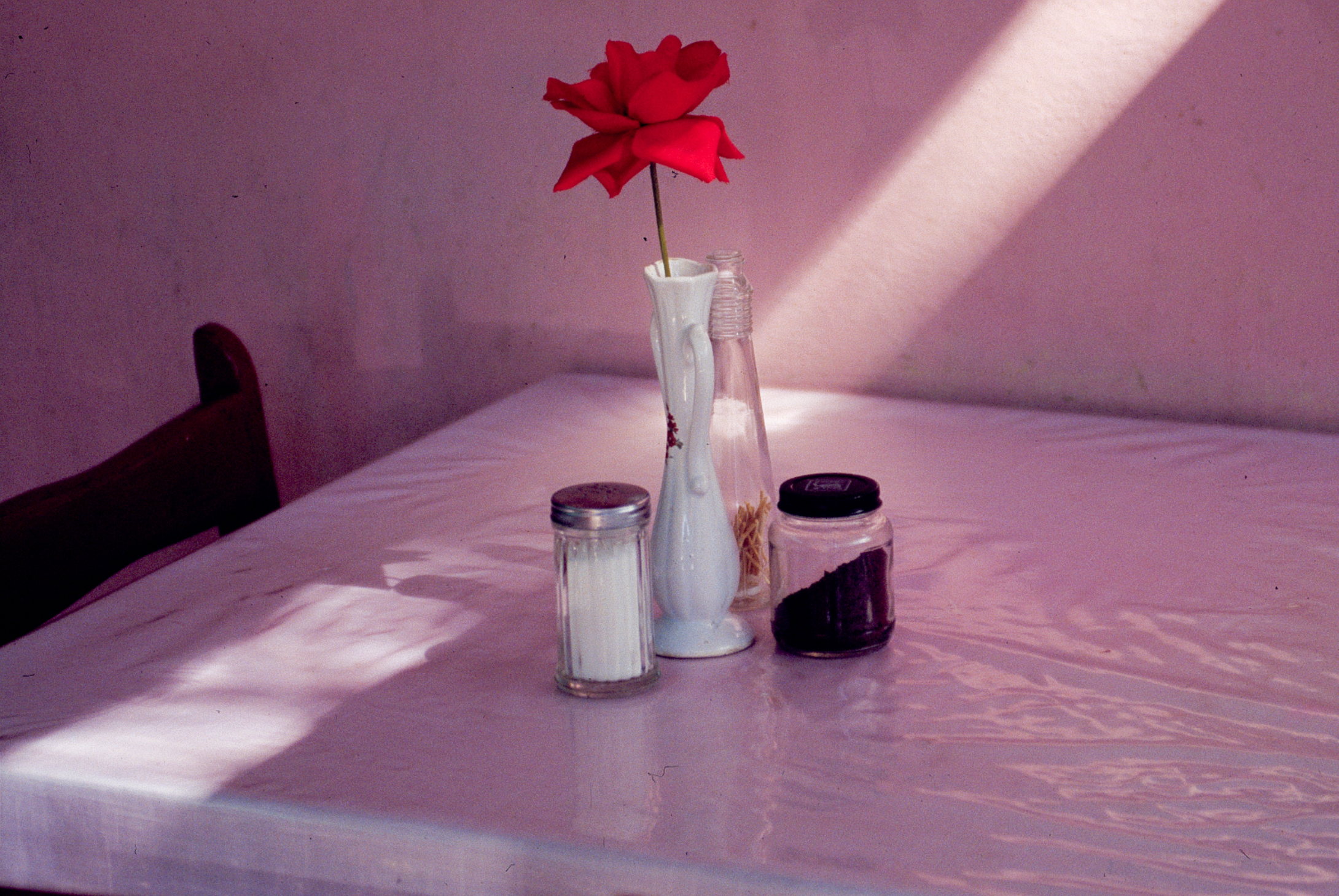 On Rose | Deborah Satten | Mexican Rose
