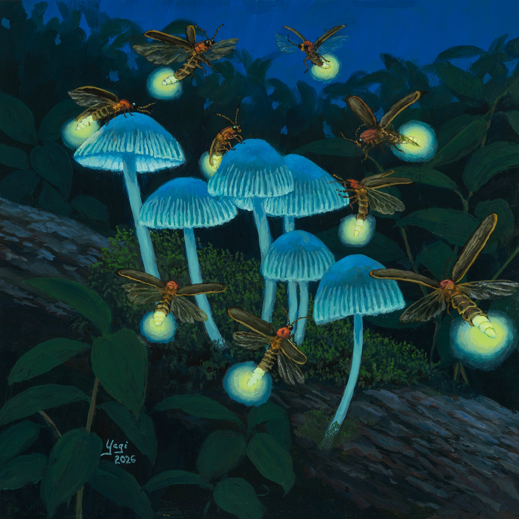 Luminosity : Sandra Yagi | Poetry of Light