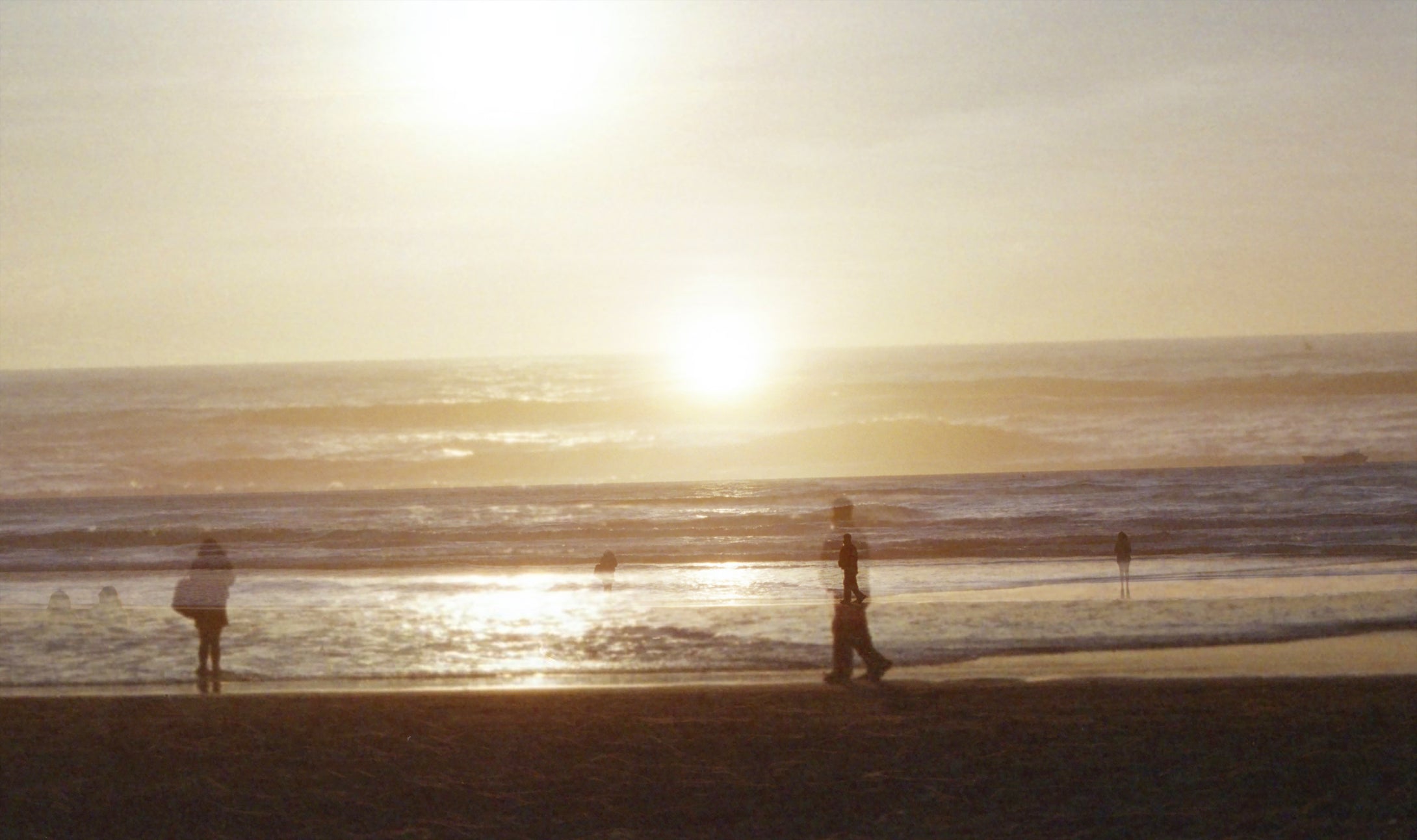 2026 Albany High School :Along the Shoreline Iris Yu 13 x 19, film photograph $50