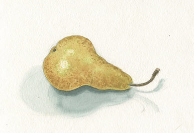 Jennifer Mazzucco - Pear on White