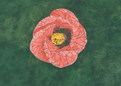 Jennifer Mazzucco - Pink Flower on Green Background