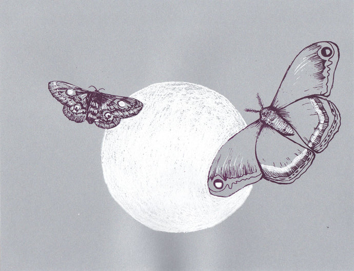 Leah Yael Levy: Moon Moths (gray)
