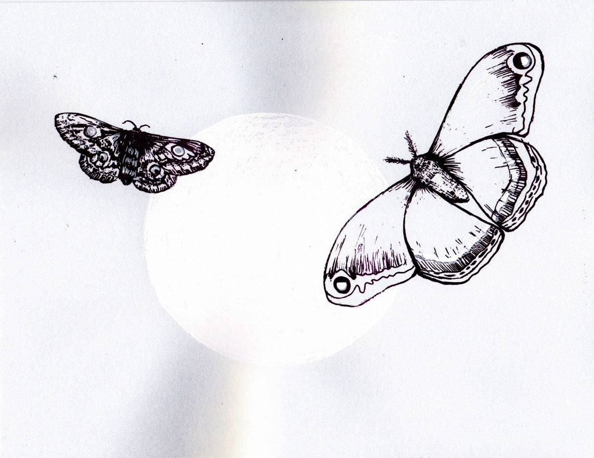 Leah Yael Levy: Moon Moths (cream)